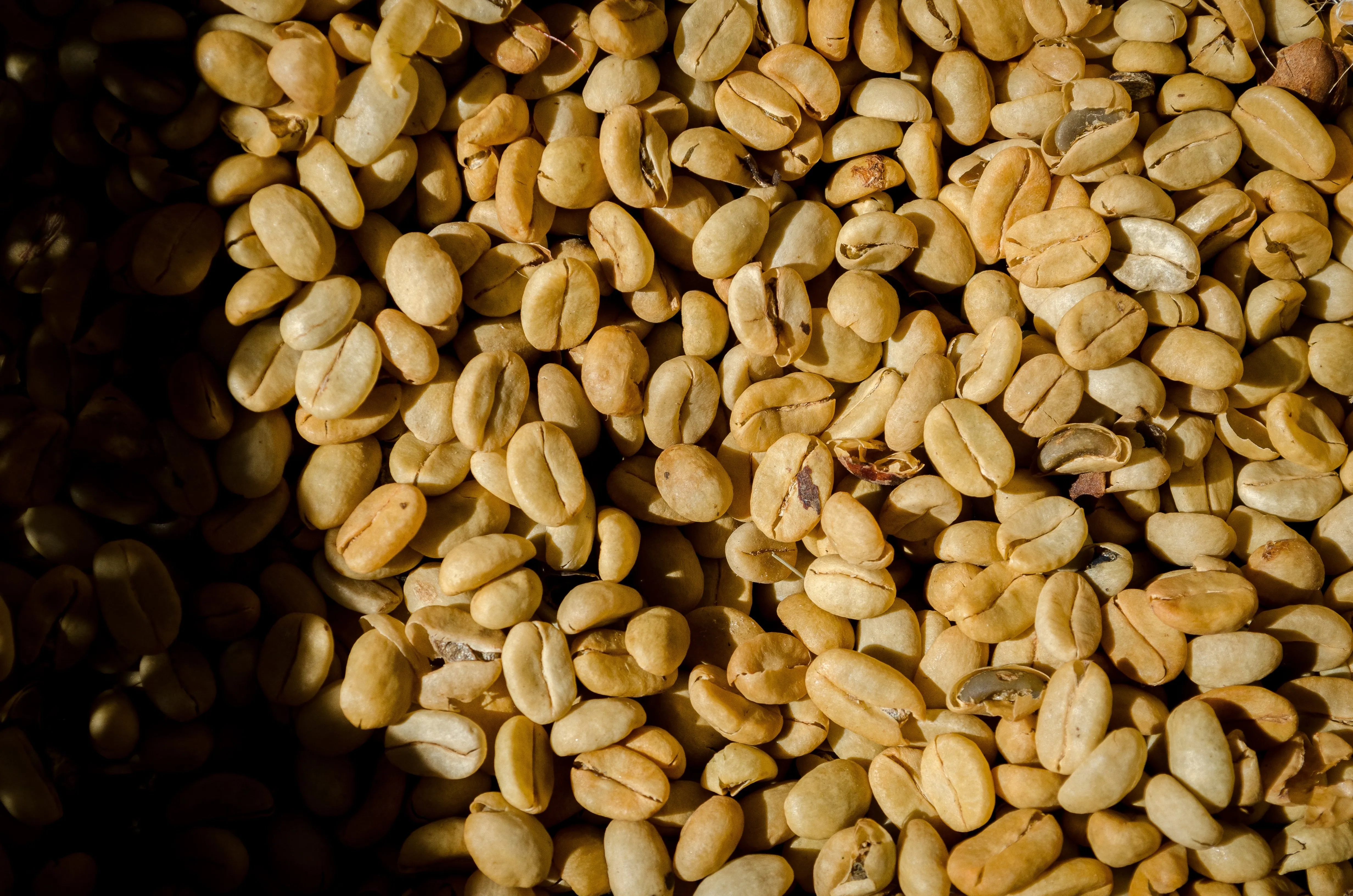 Kerchanshe Coffee Farm