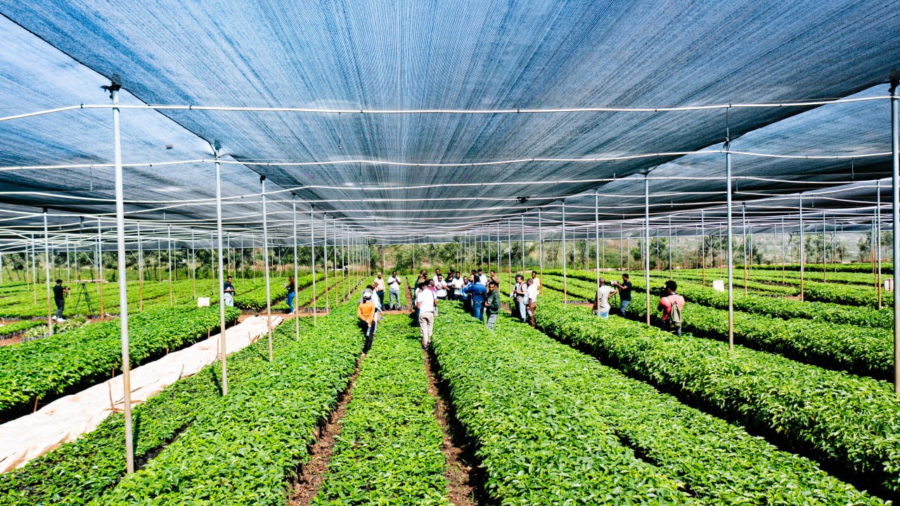 Kerchanshe Organic Farming