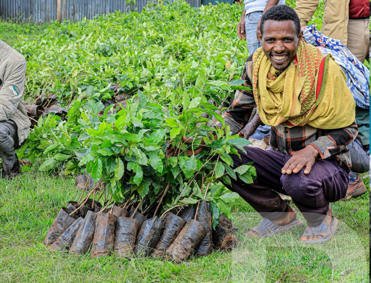 Buna Qela Sustainable Agriculture