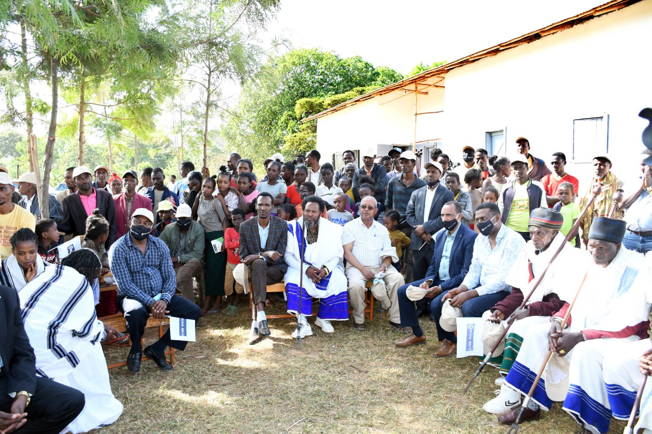 Digital innovation during COVID