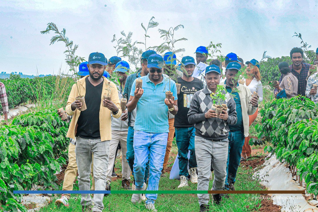 Seedling Distribution